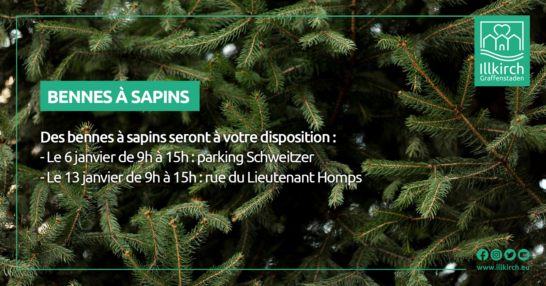 Bennes à sapins