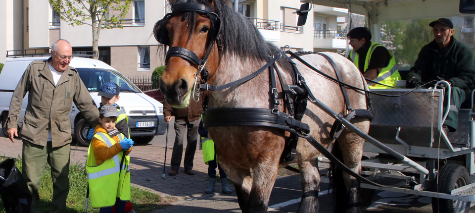 Alsa, le cheval cantonnier d'Illkirch-Graffenstaden