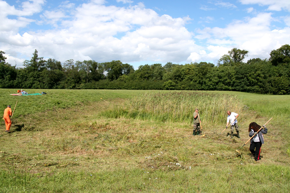 Chantier nature sur le site du Heyssel
