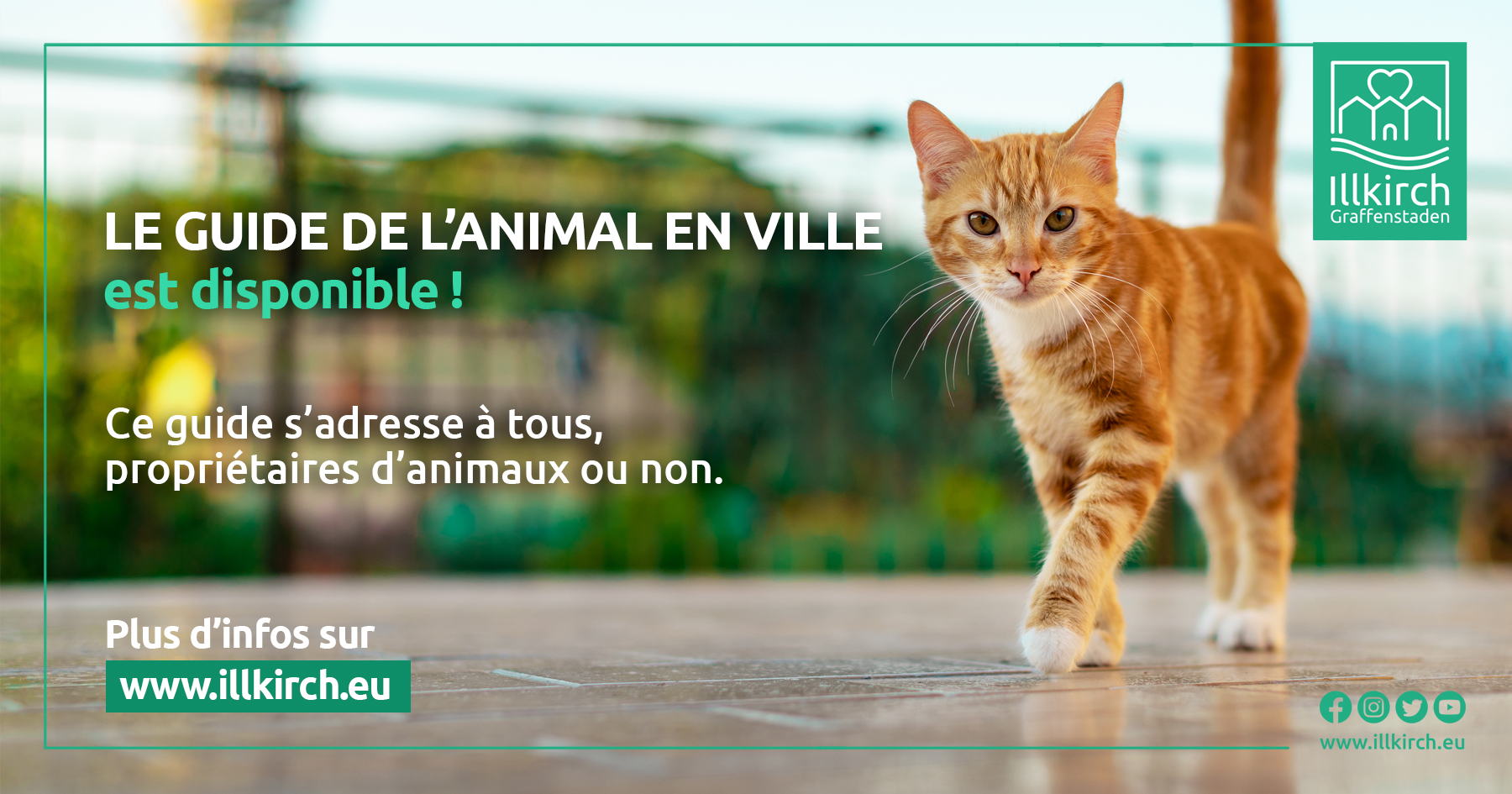 Guide de l'animal à Illkirch-Graffenstaden