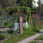 Jardins familiaux à Illkirch-Graffenstaden