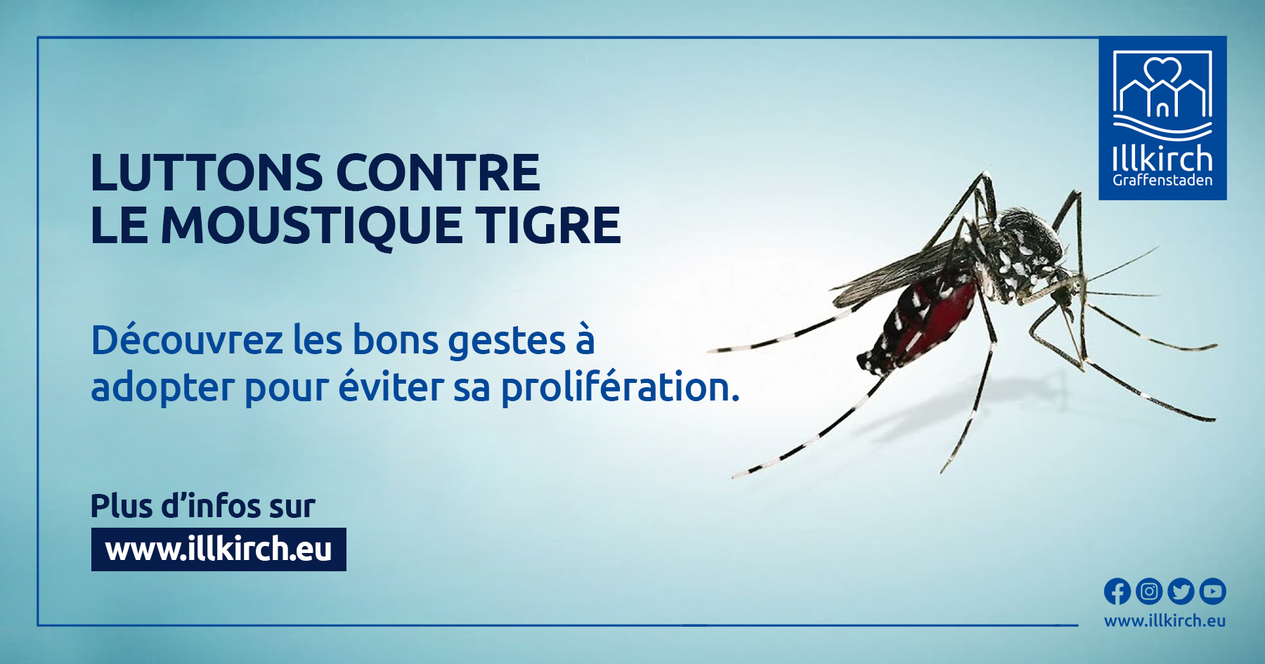Lutter contre le moustique tigre à Illkirch-Graffenstaden