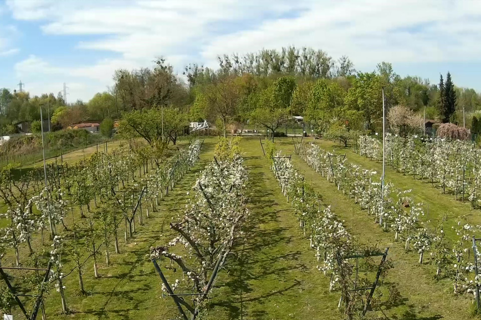 Fruits et Fleurs : portes ouvertes !
