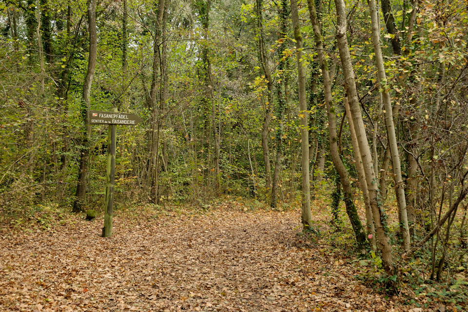 Promenade nature à Illkirch-Graffenstaden