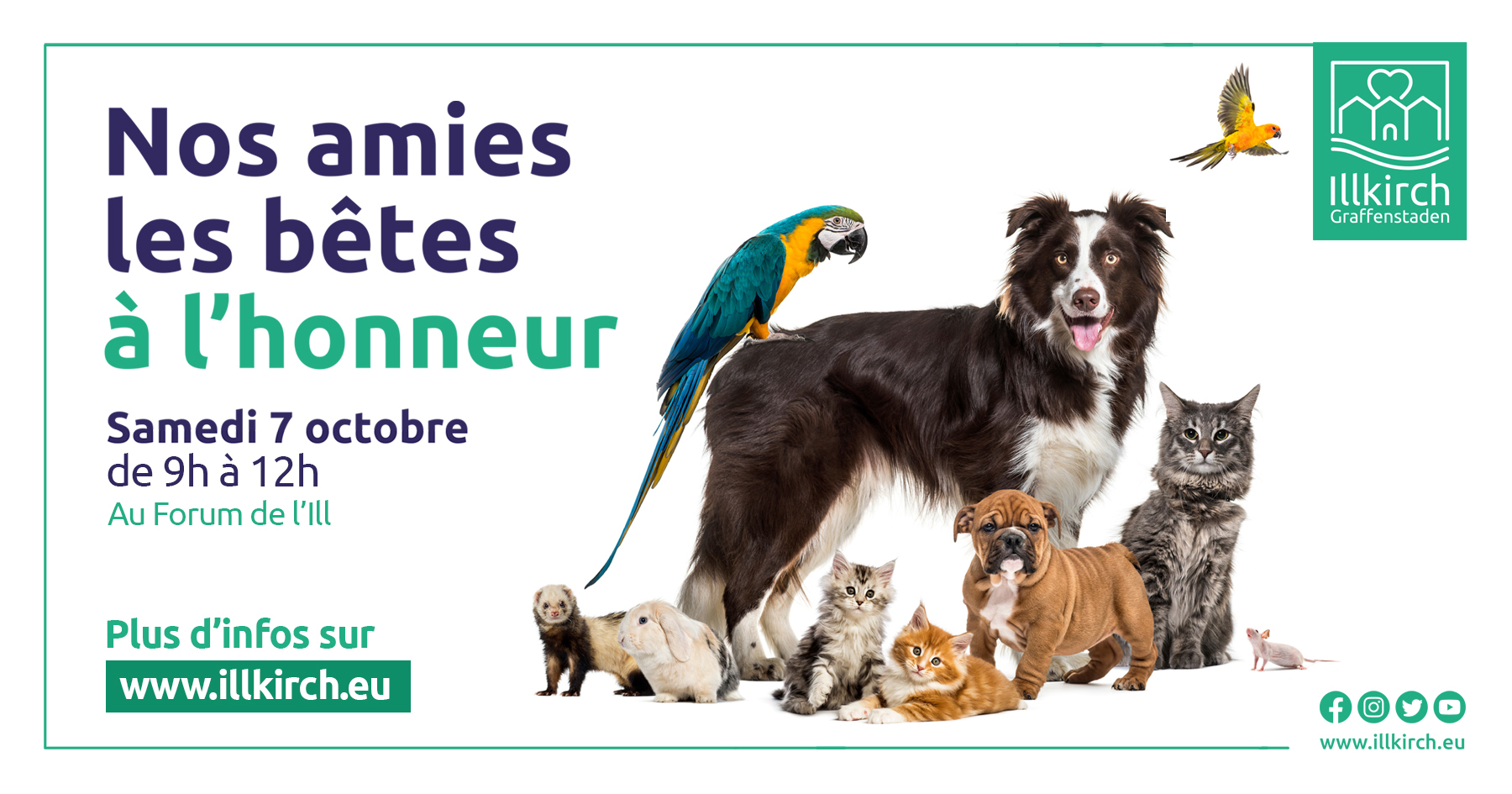 Nos amies les bêtes à l'honneur