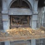 Faucons pèlerins à Illkirch-Graffenstaden - Avril 2019
