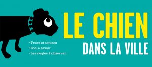 Canisites pour chiens à Illkirch-Graffenstaden